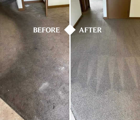 Carpet Cleaner Jefferson WI