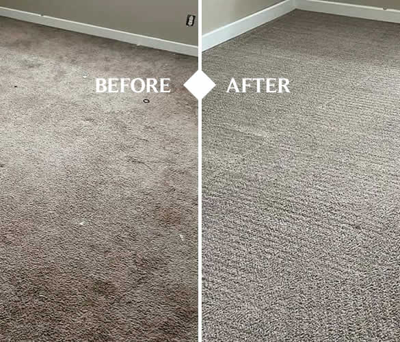 Carpet Cleaner Deerfield WI