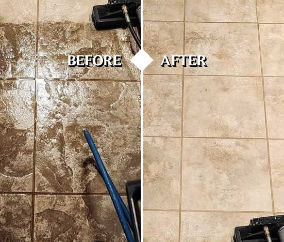 Tile and Grout Cleaner Watertown WI